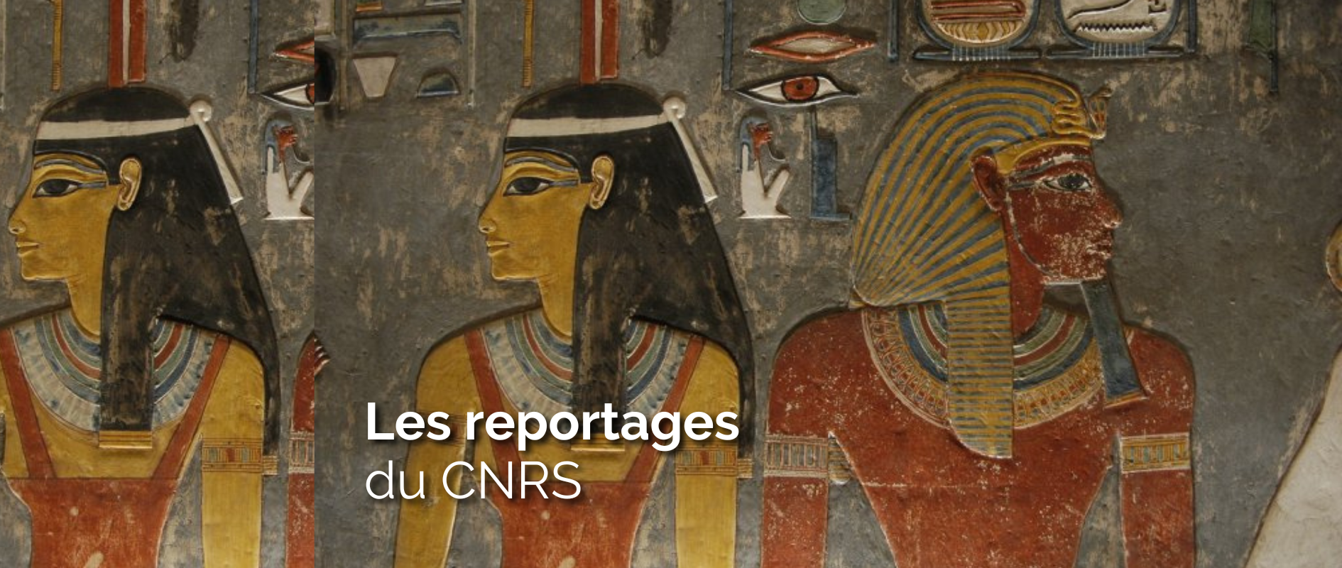 Les reportages du CNRS